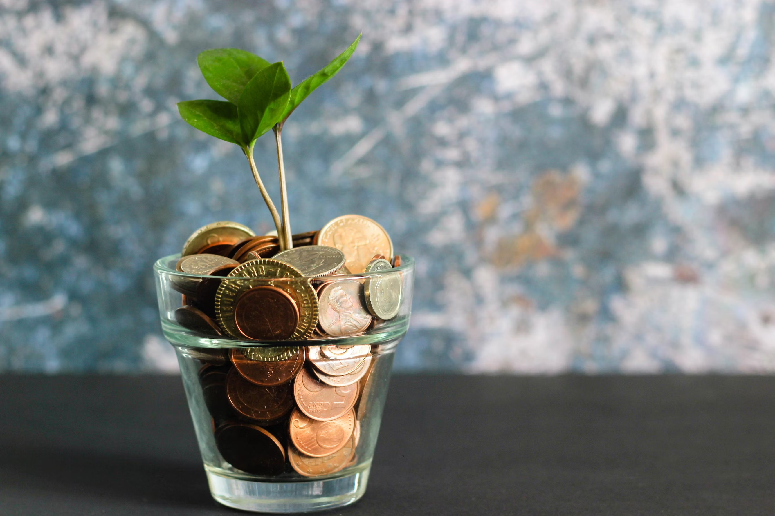 coins that grow into a plant