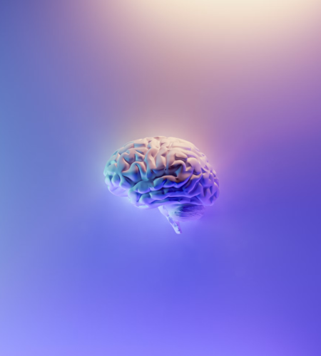 brain image 3d